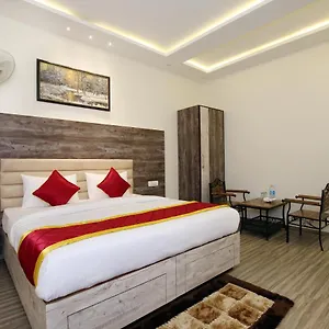 Hotel Oyo 9159 Royal Woodslark ***